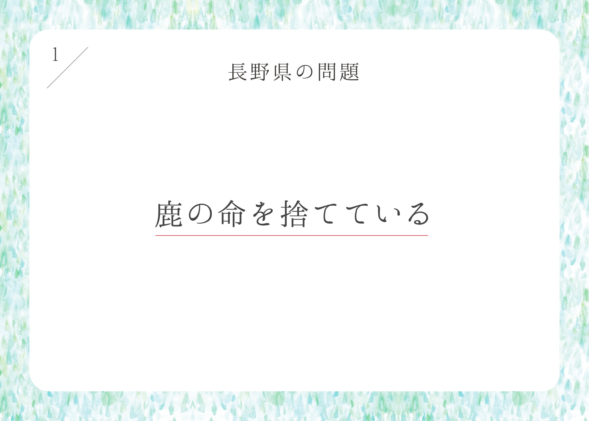 Kano プレゼンテーション1