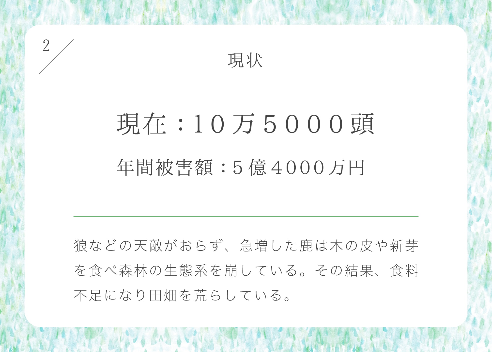 Kano プレゼンテーション2