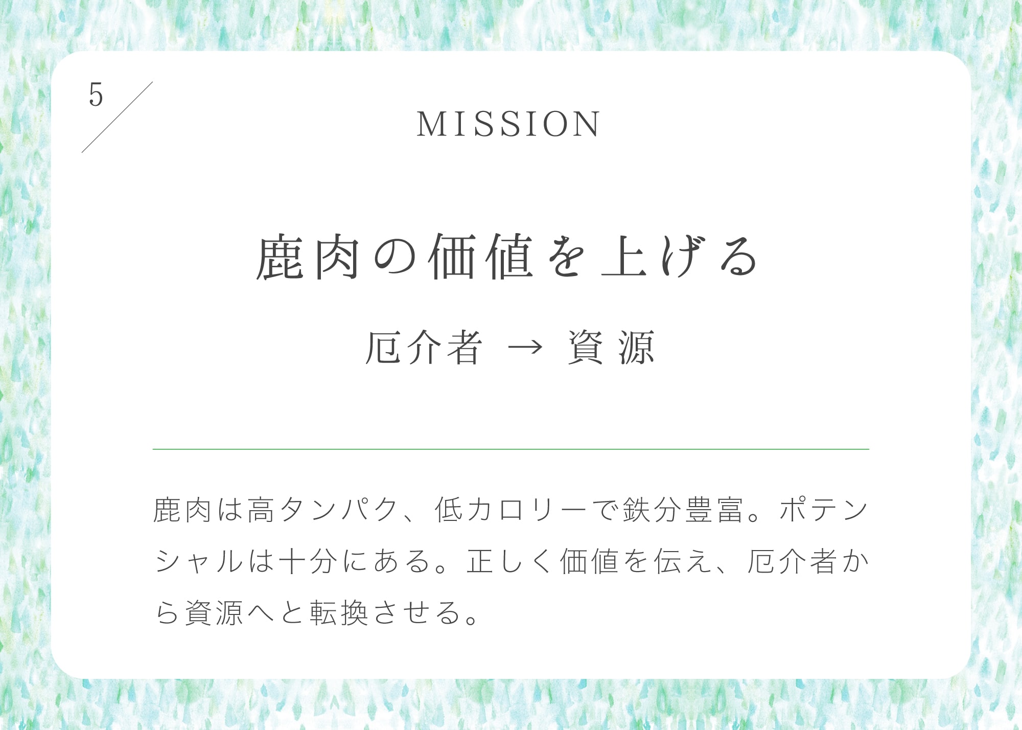 Kano プレゼンテーション5