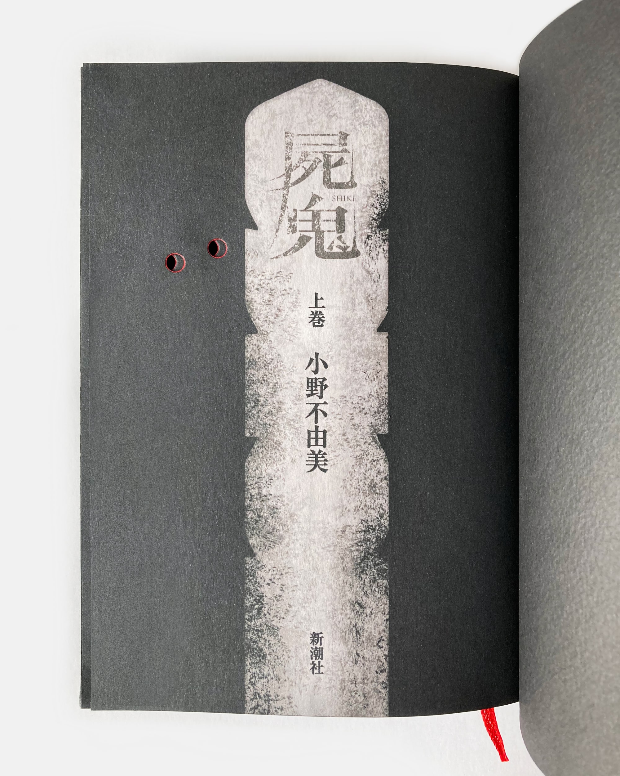 死屍 ビジュアル4