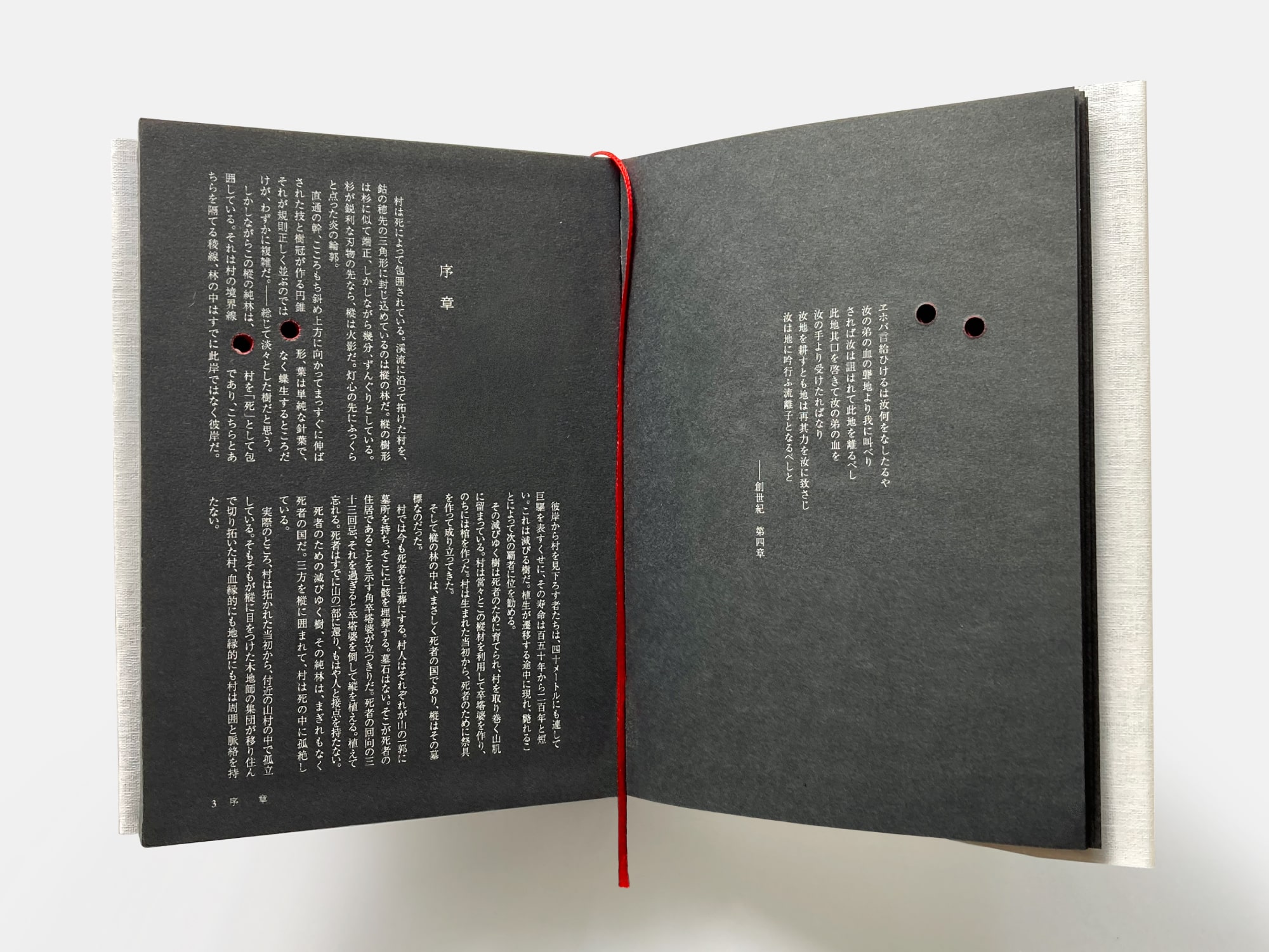 死屍 ビジュアル6