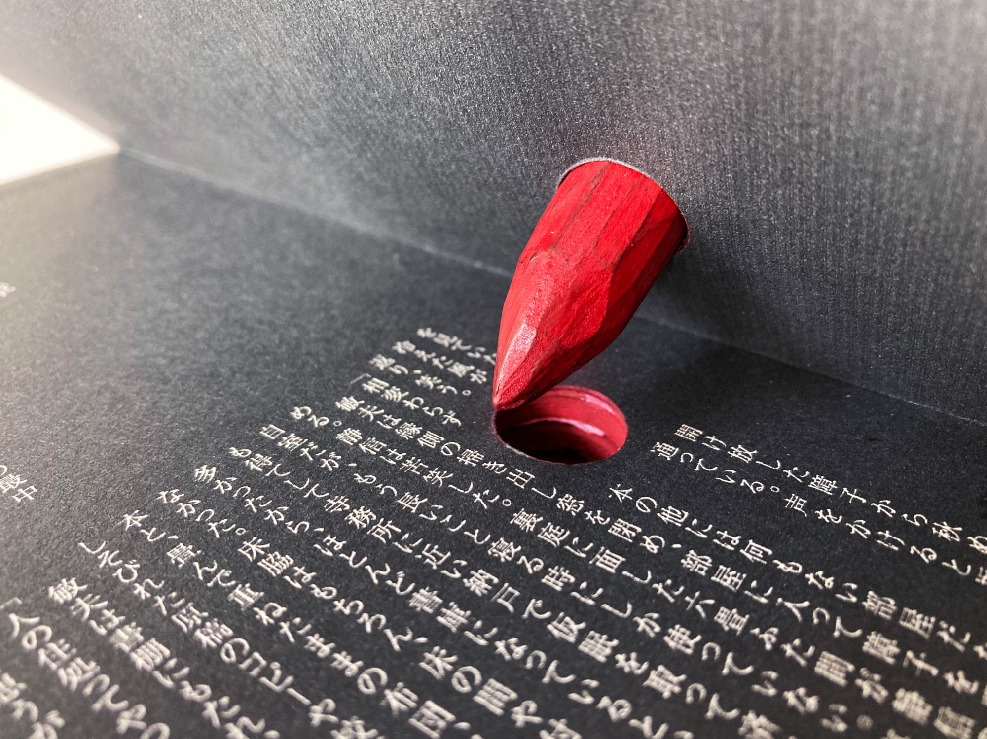 死屍 ビジュアル10