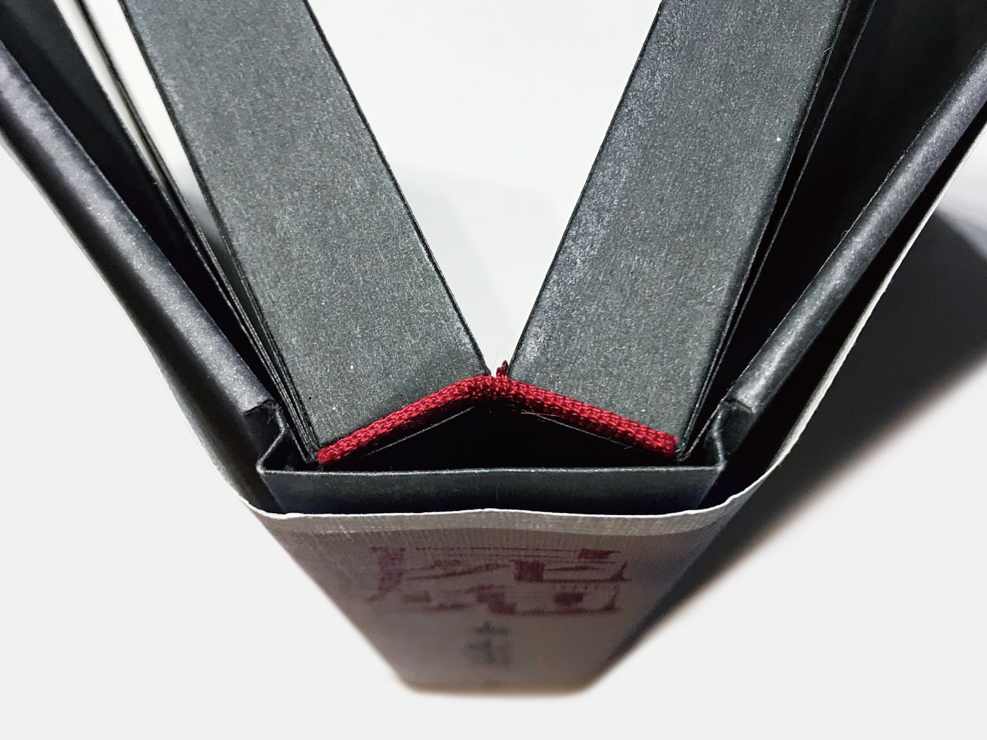 死屍 ビジュアル11